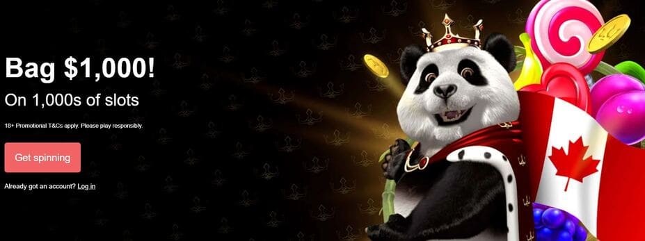 Bonus Royal Panda